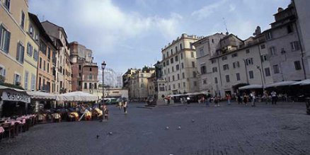 campo de flori