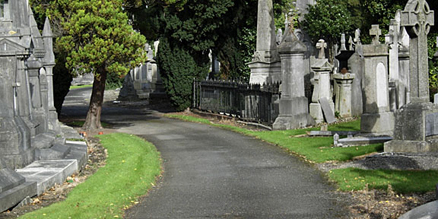 Dublin Exploration Tours