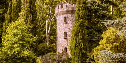 Best Ireland Tours